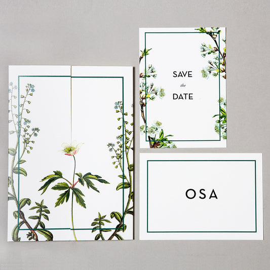 Linné bröllopsinbjudan, Save the Date och OSA kort